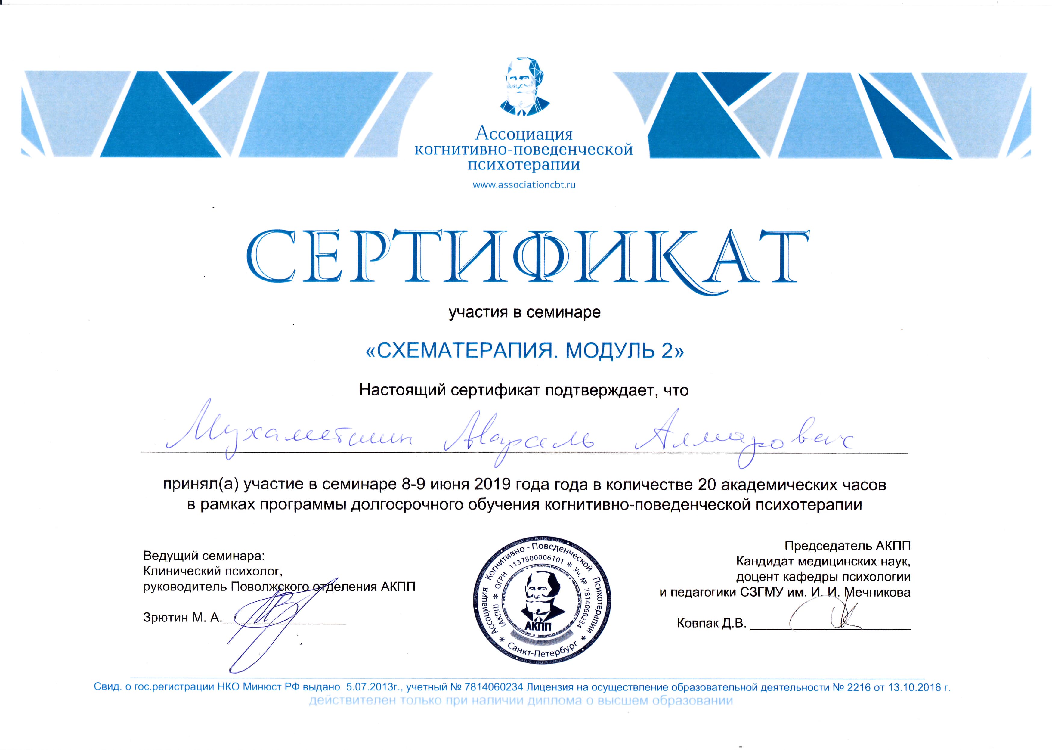 Схематерапия · модуль 2: АКПП · июнь 2019
